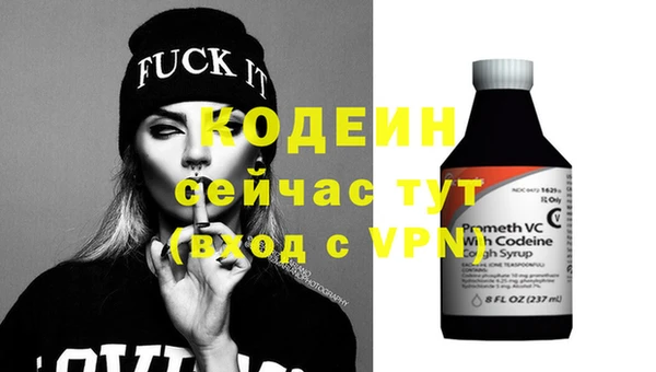 хмурый Алексин