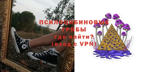 индика Абинск