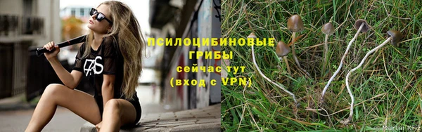 хмурый Алексин