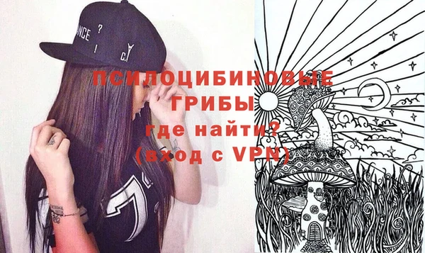 МДПВ Алзамай
