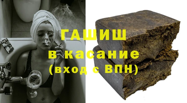хмурый Алексин