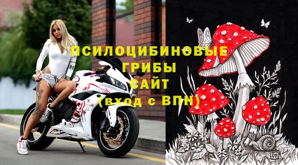 хмурый Алексин