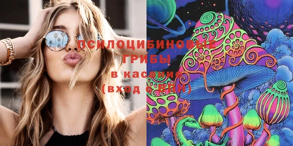 хмурый Алексин