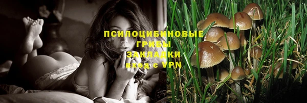 ешки Абдулино