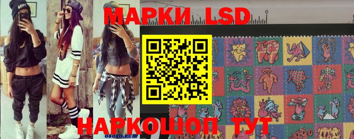 Псилоцибиновые грибы Киров