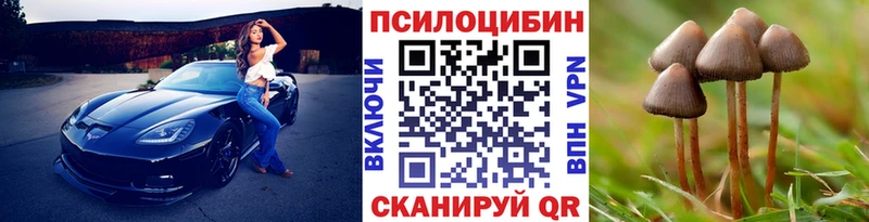 мега рабочий сайт  Киров  Псилоцибиновые грибы прущие грибы 