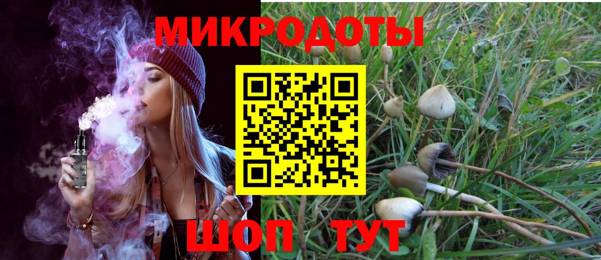 Псилоцибиновые грибы прущие грибы  Вход с VPN  Псилоцибиновые грибы мицелий  Киров 
